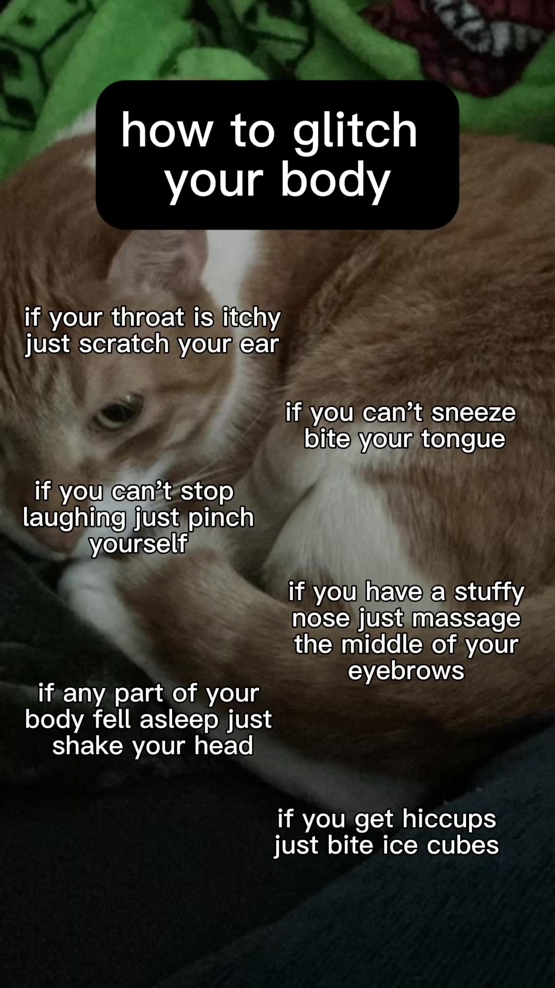 @𝓙𝓪𝓬𝓬𝓬𝓬