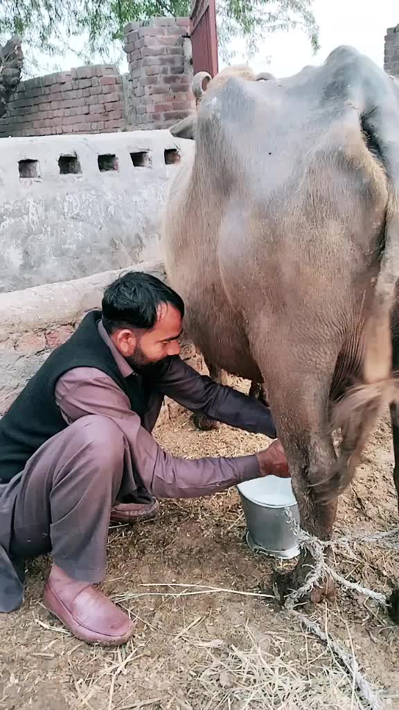 @ch imrangujjar