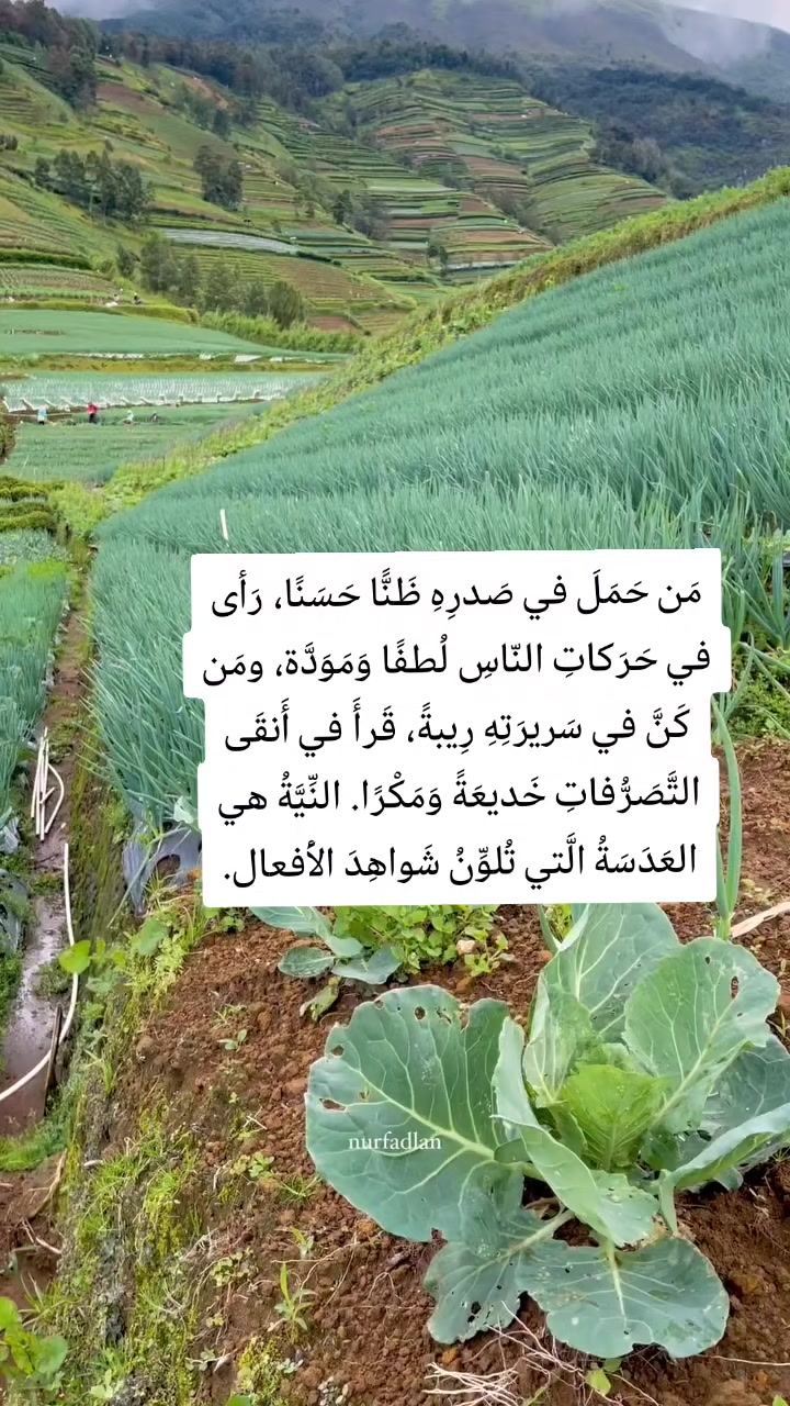 @Obady