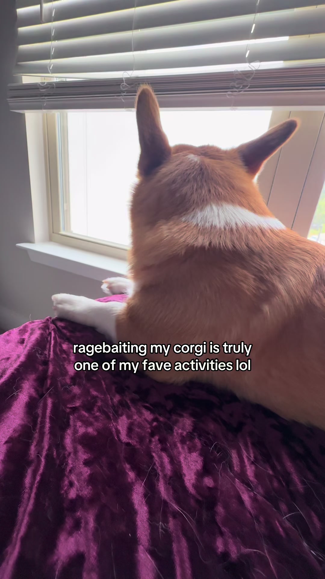 @𝔪𝔞𝔡𝔦𝔰𝔬𝔫