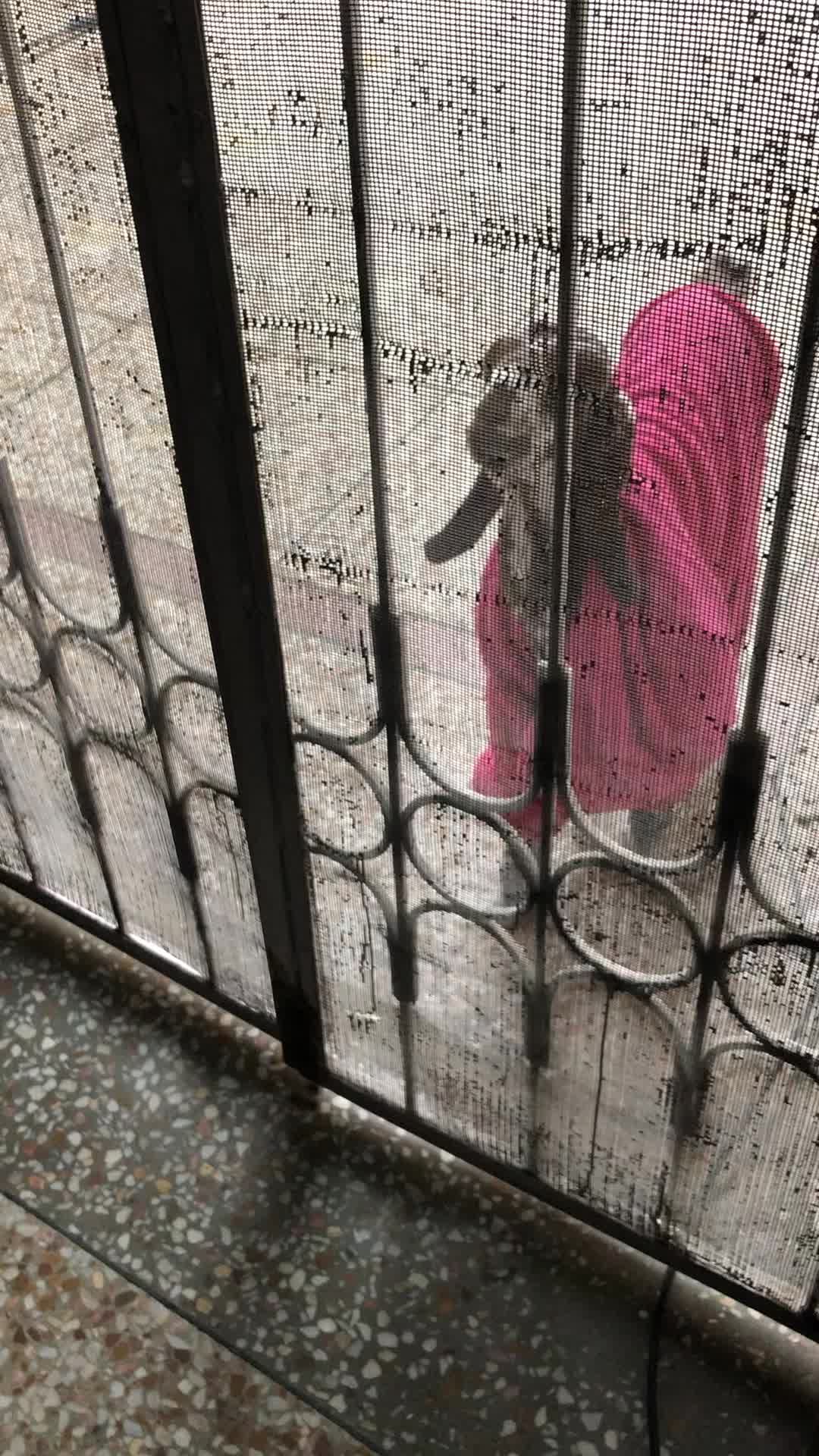 @ZAM ZAM BuTT