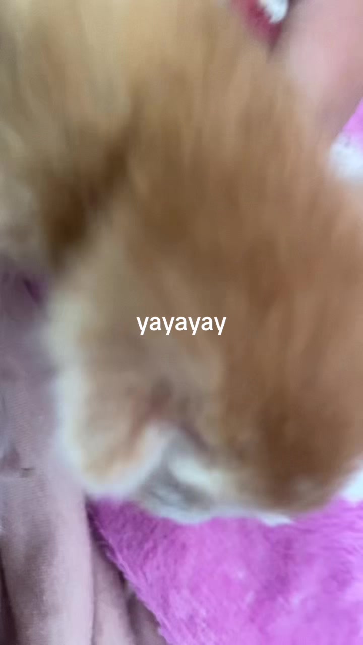 @⋆。˚꒰ঌ Wonhee ໒꒱˚。⋆