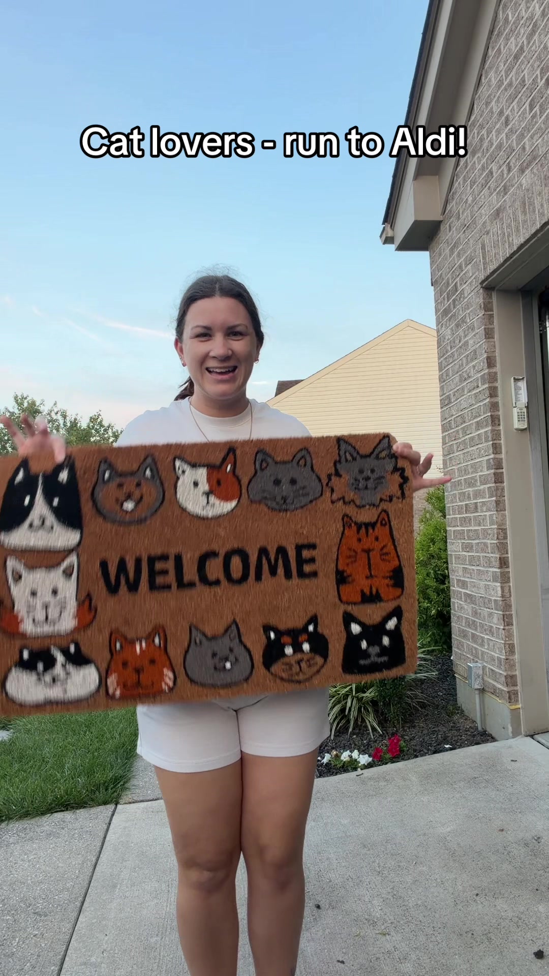 @Taylor & Cats 🐱