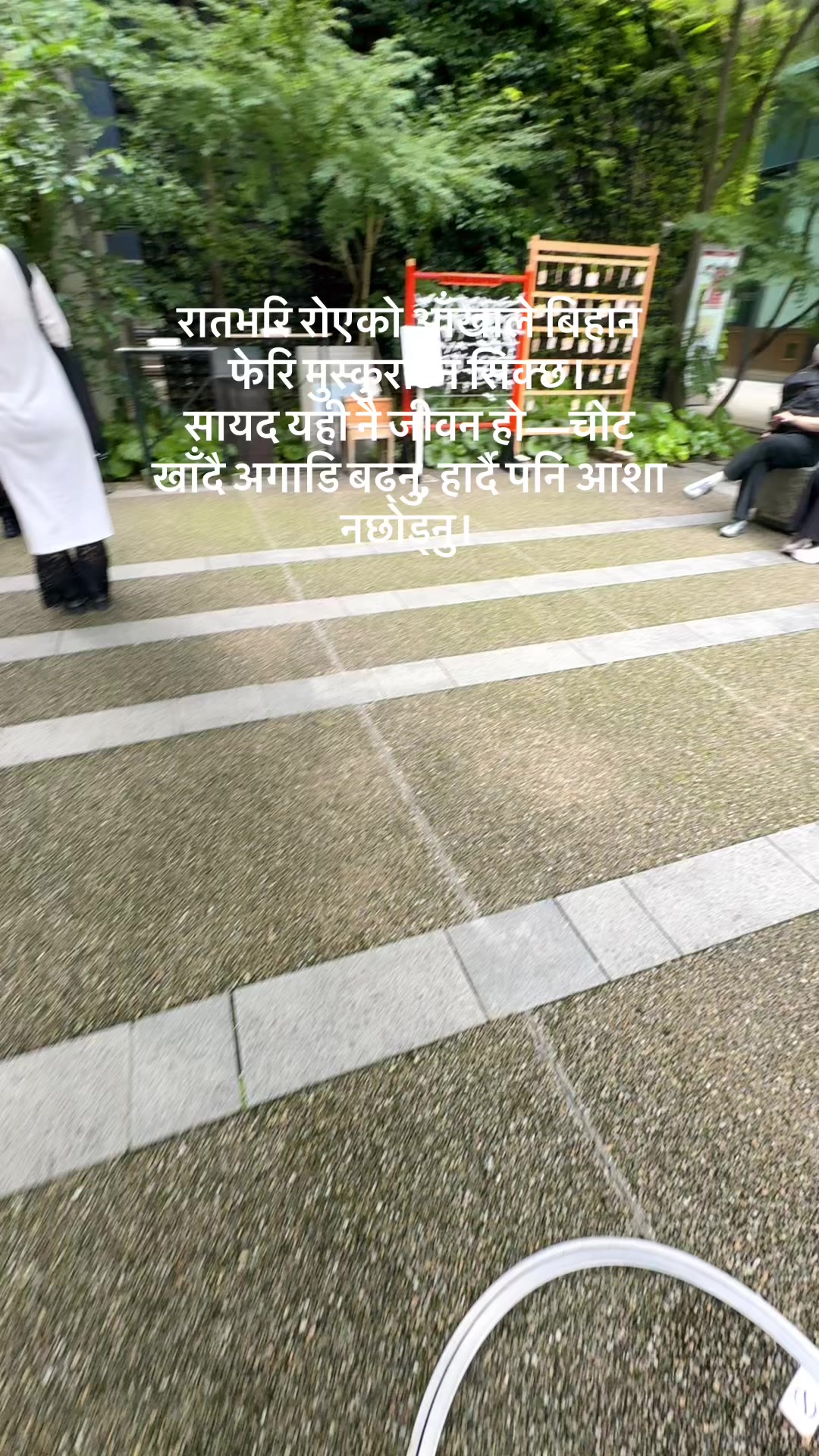 @Renuka Kharel