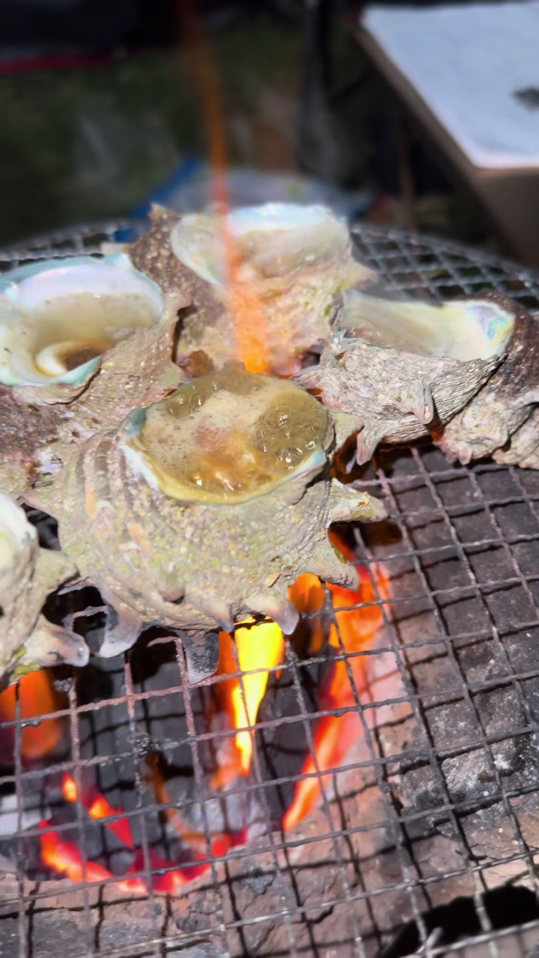 @炭っコぐらし🔥