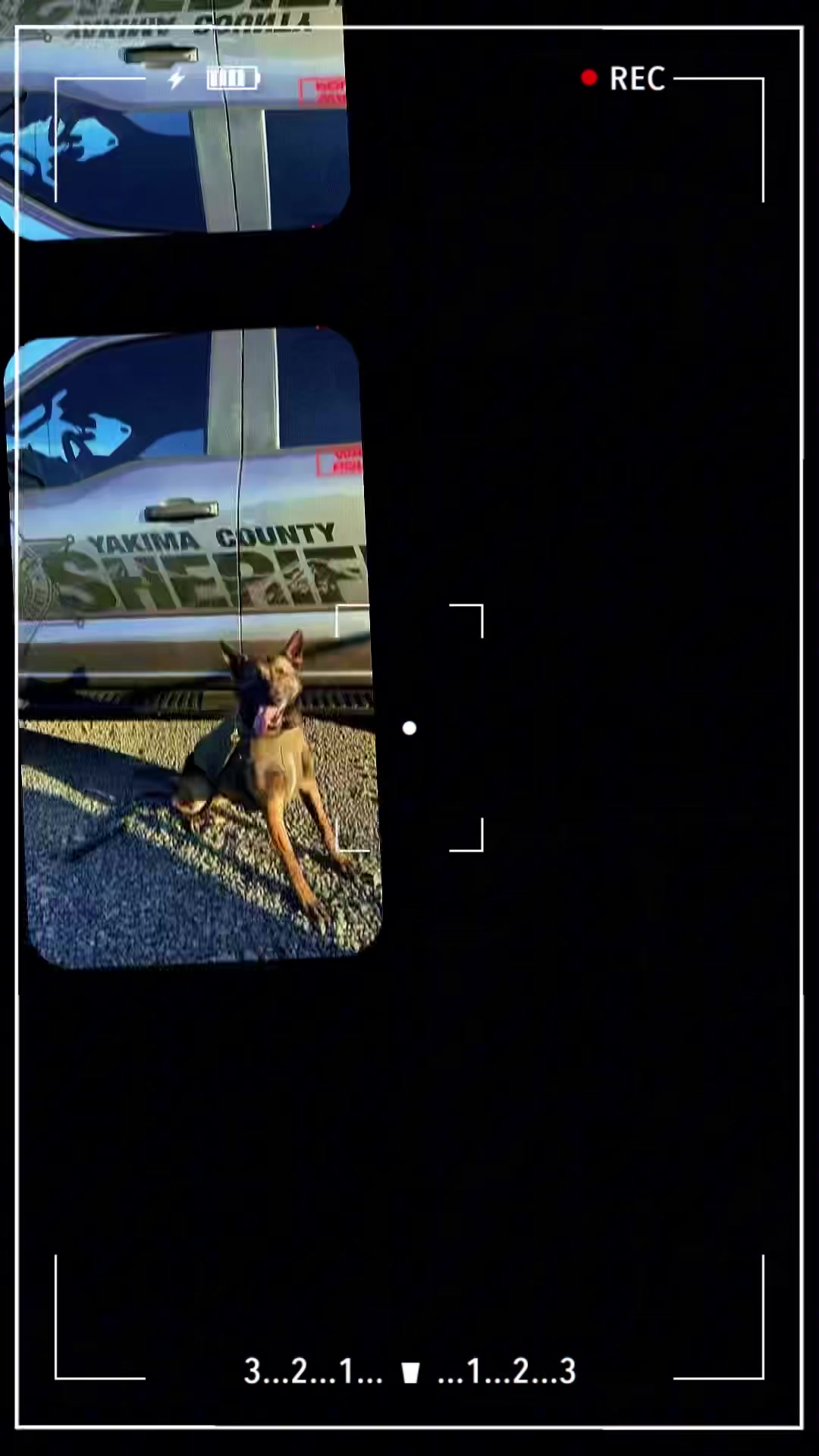 @Vested Interest in K9s, Inc.