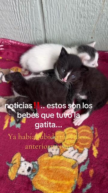 @Vero García