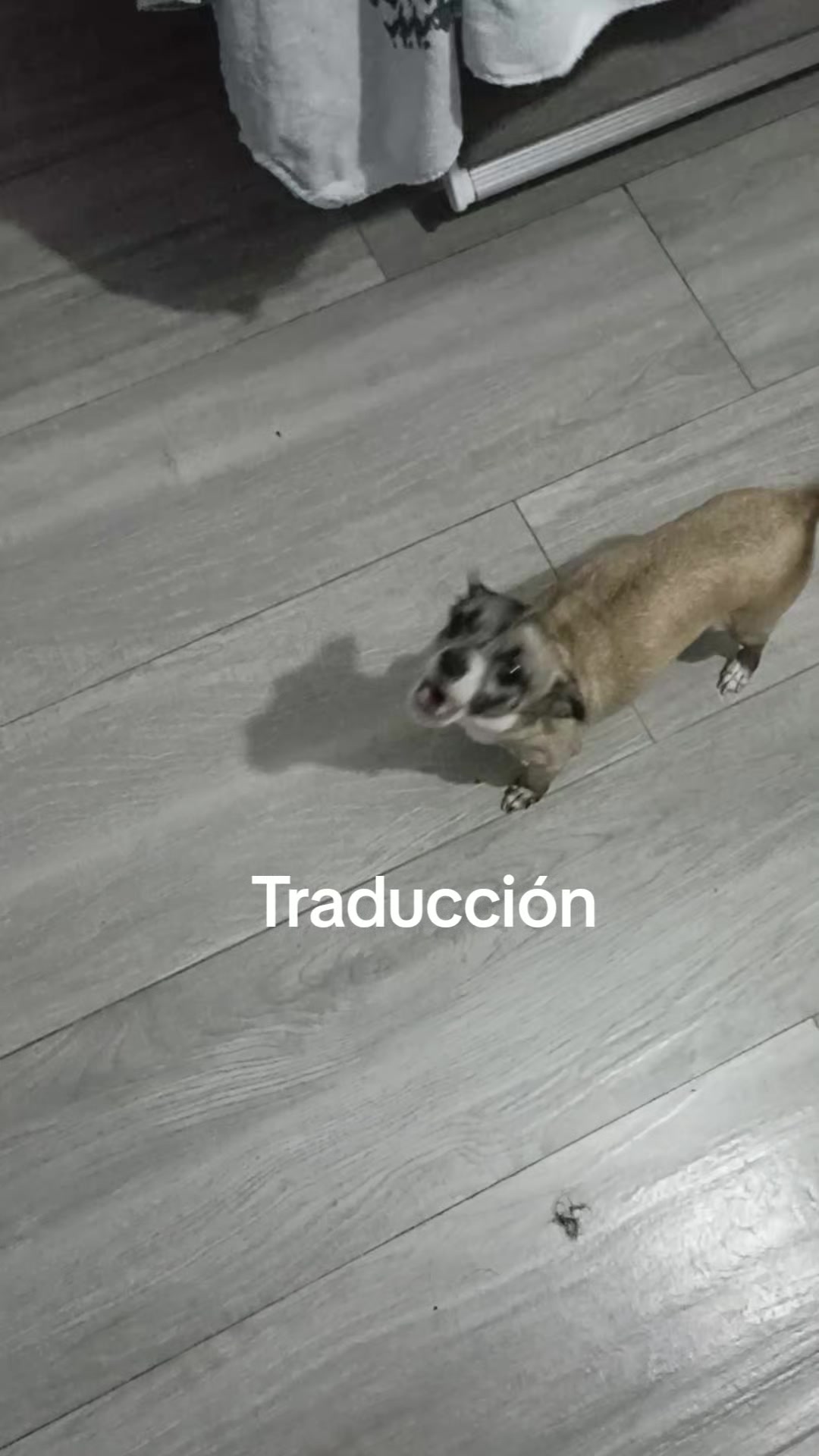 @Celina Salazar