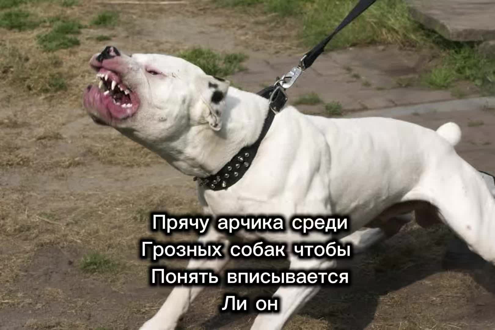 @Iван_мiкрозаiм