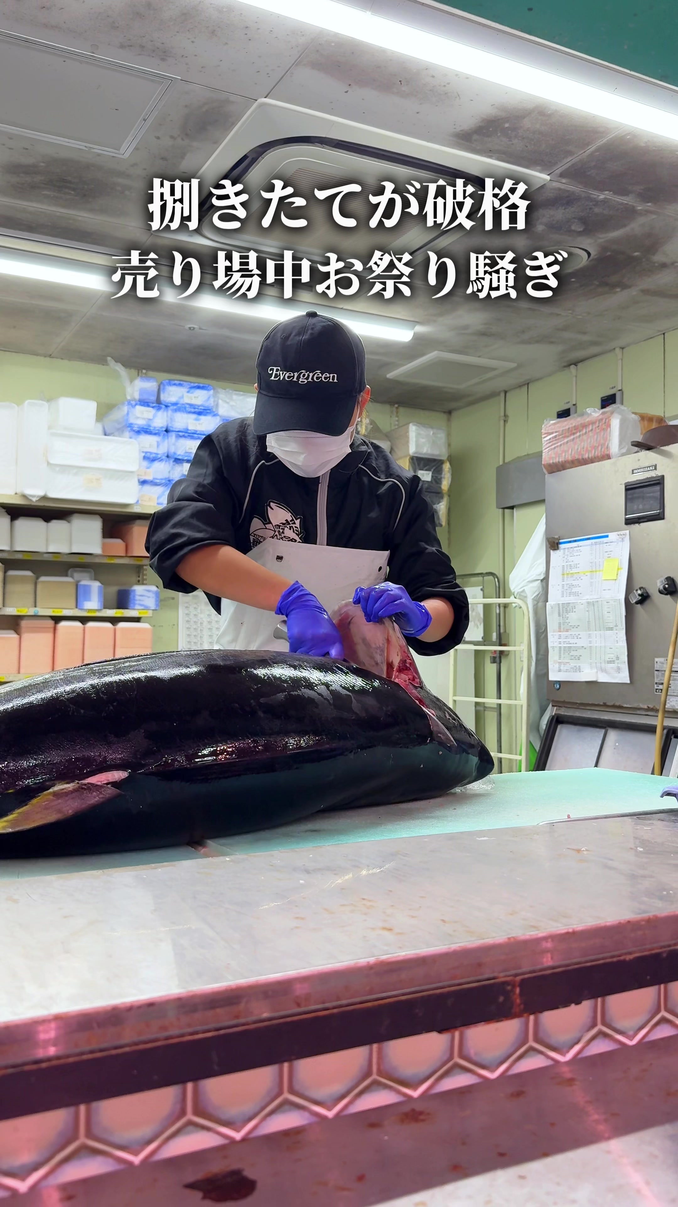 @ひろと / 大阪発!関西トレンド独占旅🔥