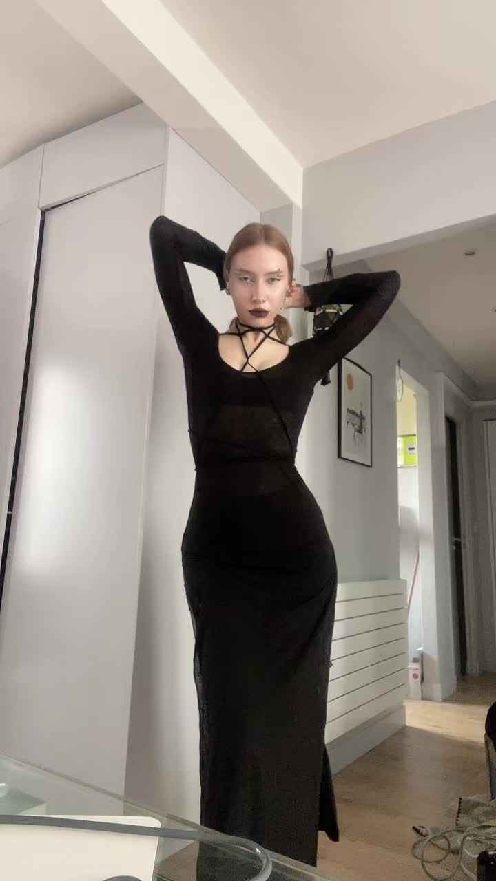 @Schefferdaria🐾