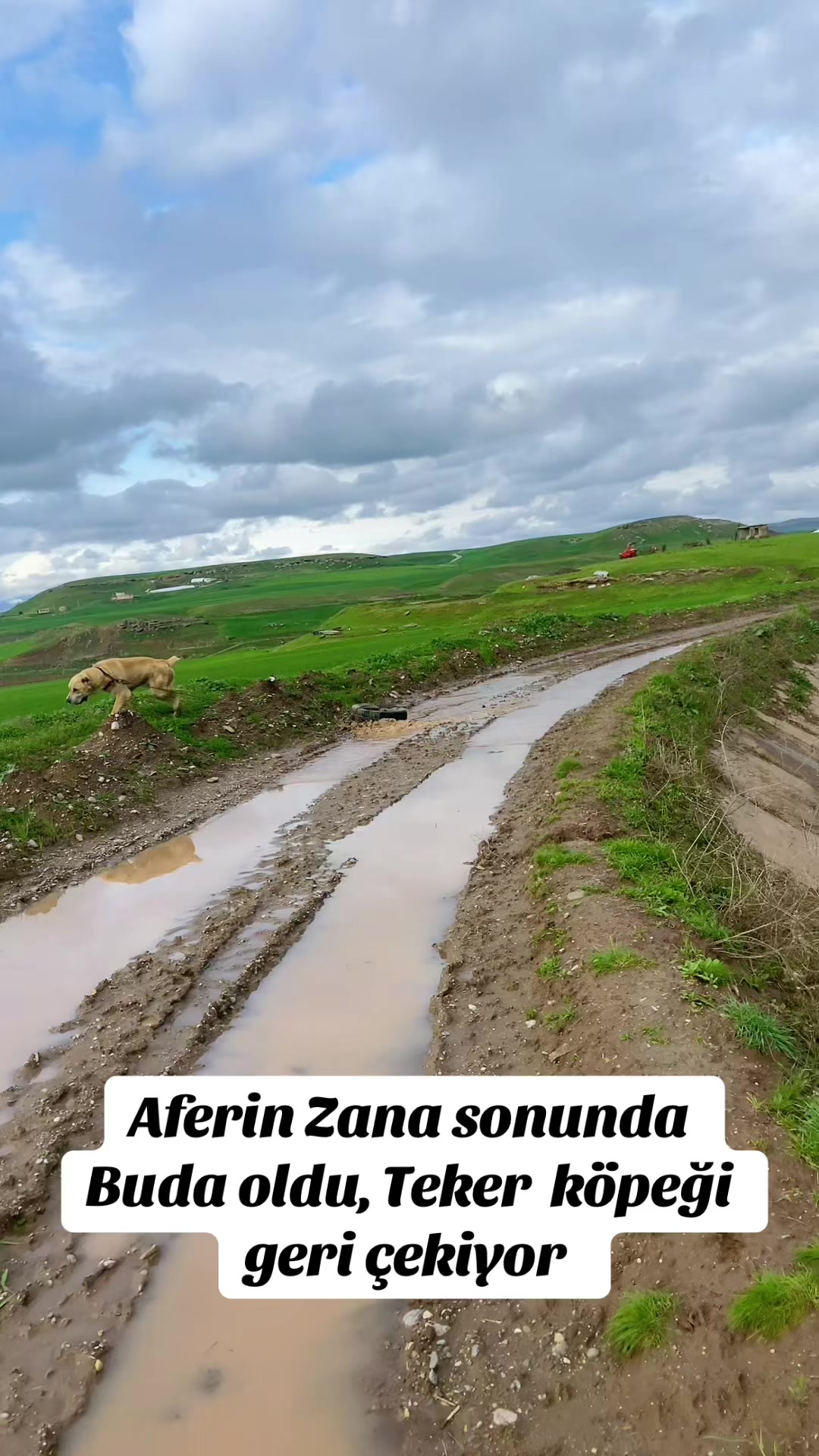 @AKDEMKANGAL