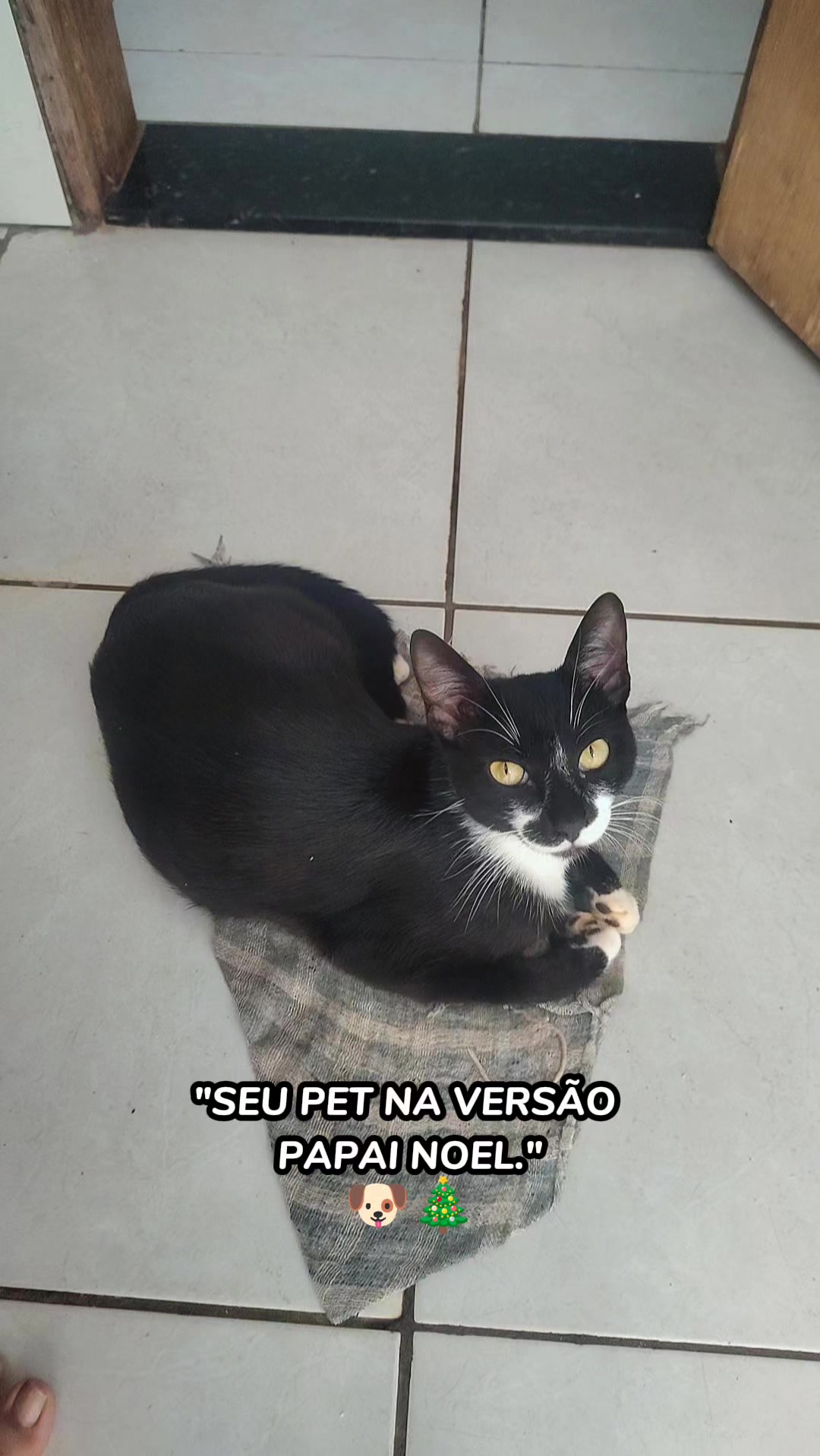 @ABeaÉTrix