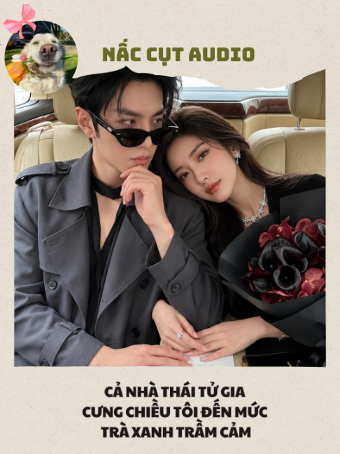 @Nấc Cụt Audio