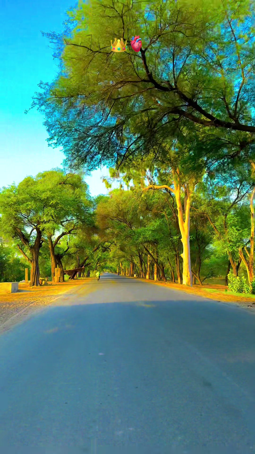 @پنجابی کلچر 🌾🍂