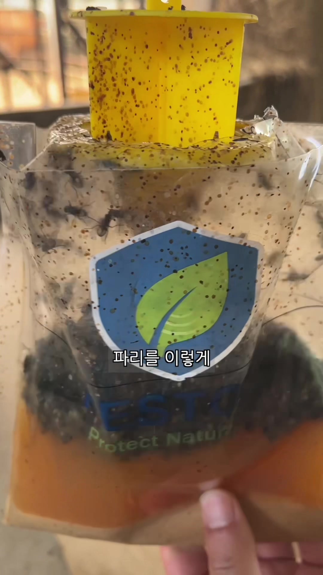 @리뷰하는회사원