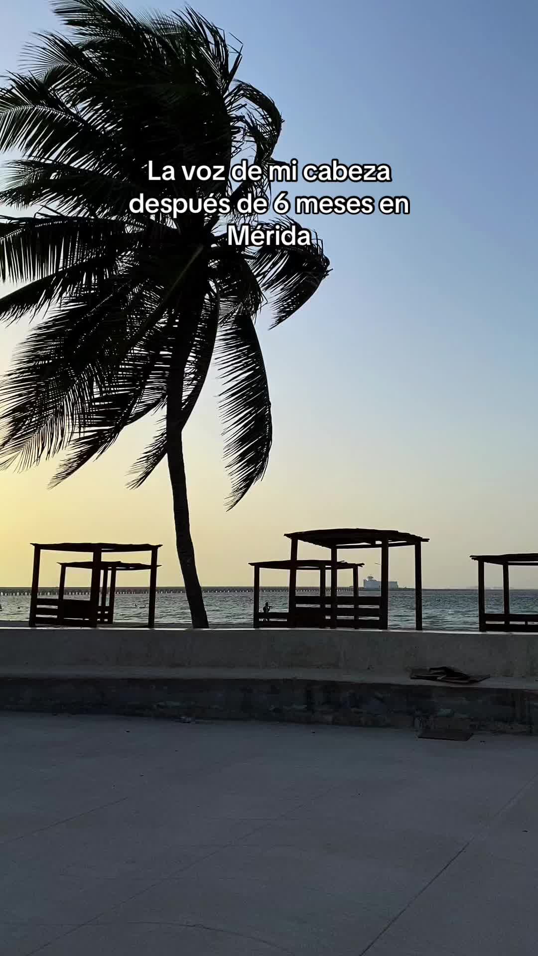 @Karennnn