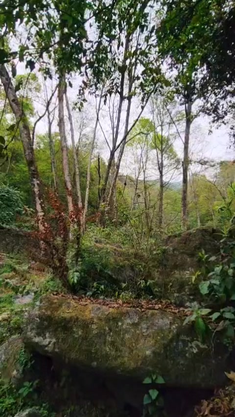 @sumit 🕉🔱🧿✨️⚛️