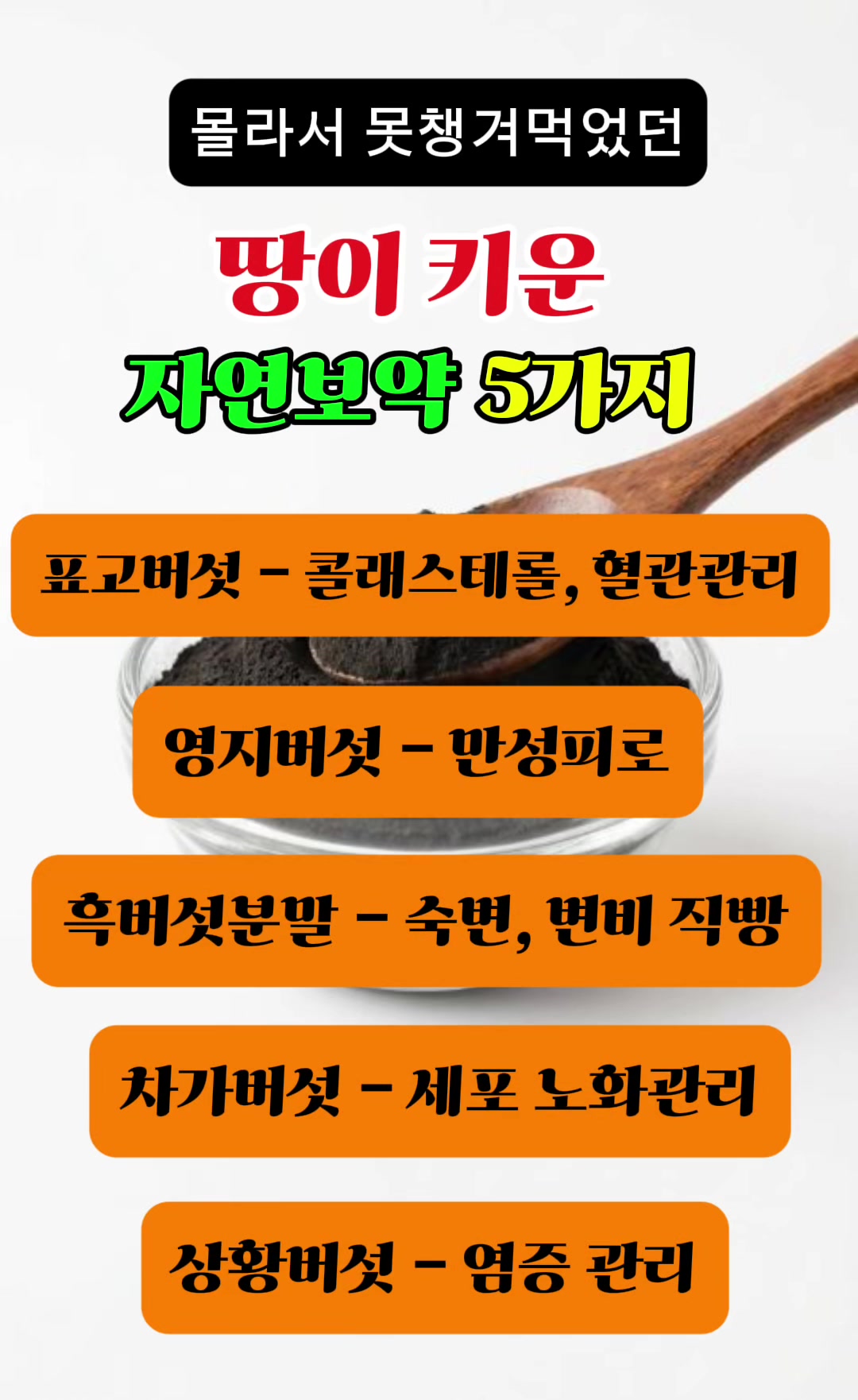 @건강해지는 건강꿀통