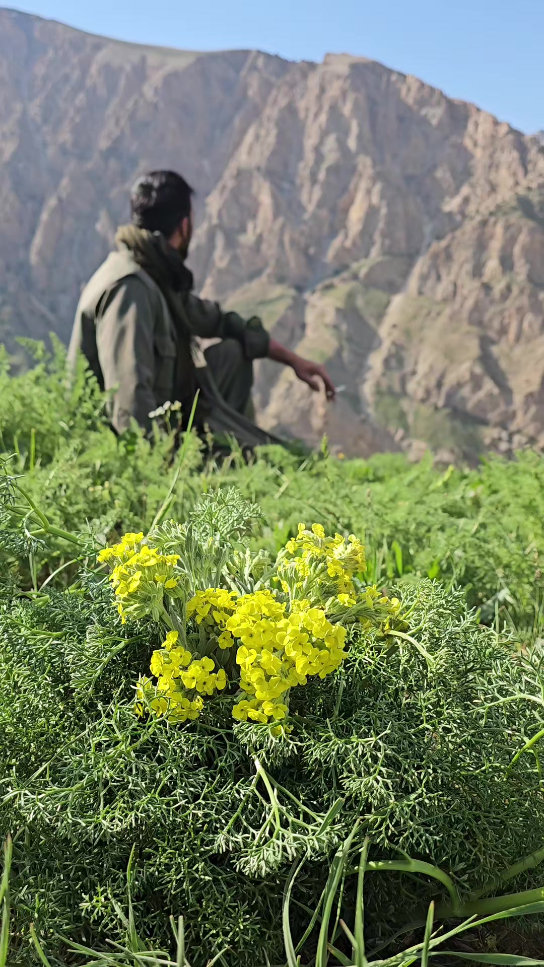 @besir ybş