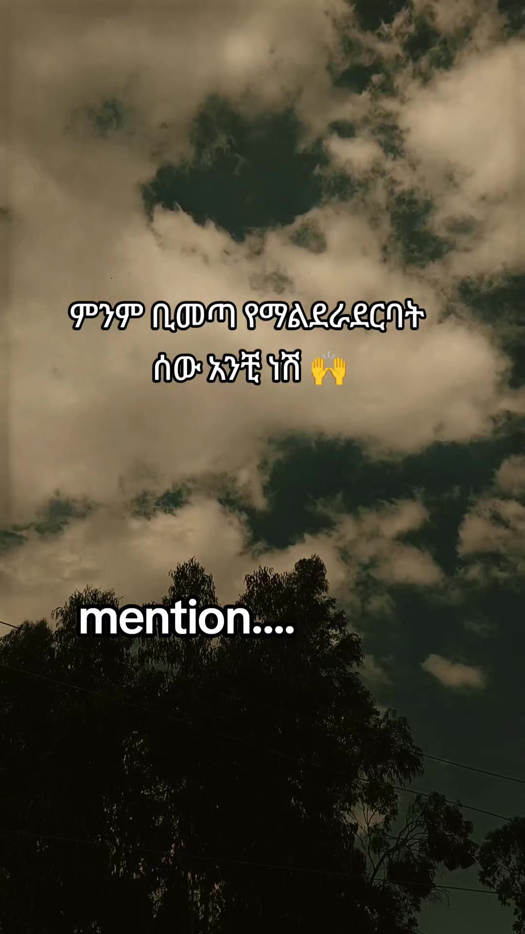 @โจ TEMU Quotes