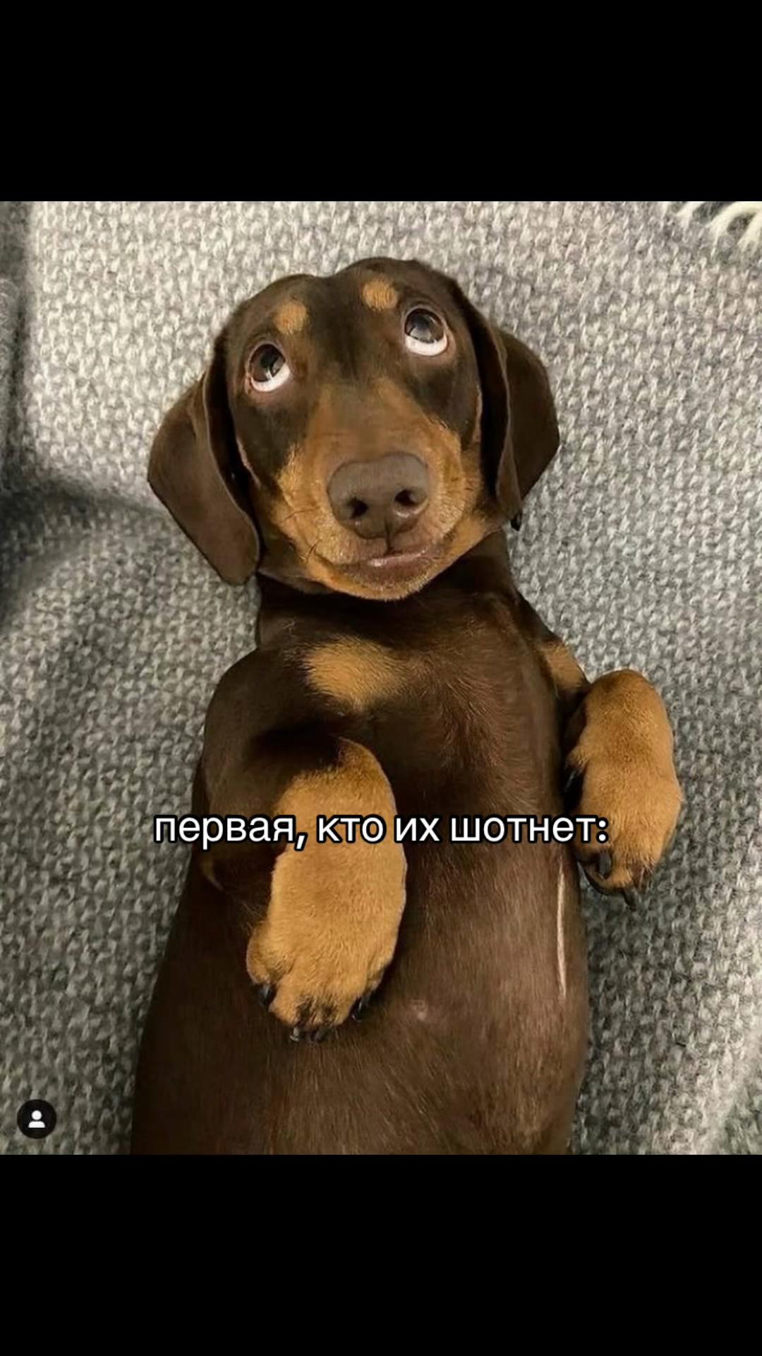 @Маришка Лóери