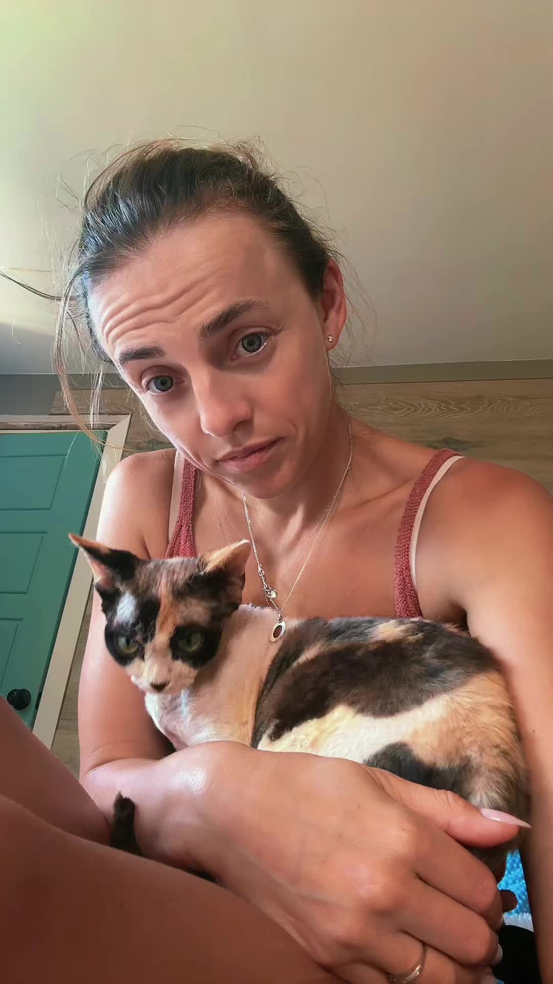 @Curlslux cattery!!🇺🇸