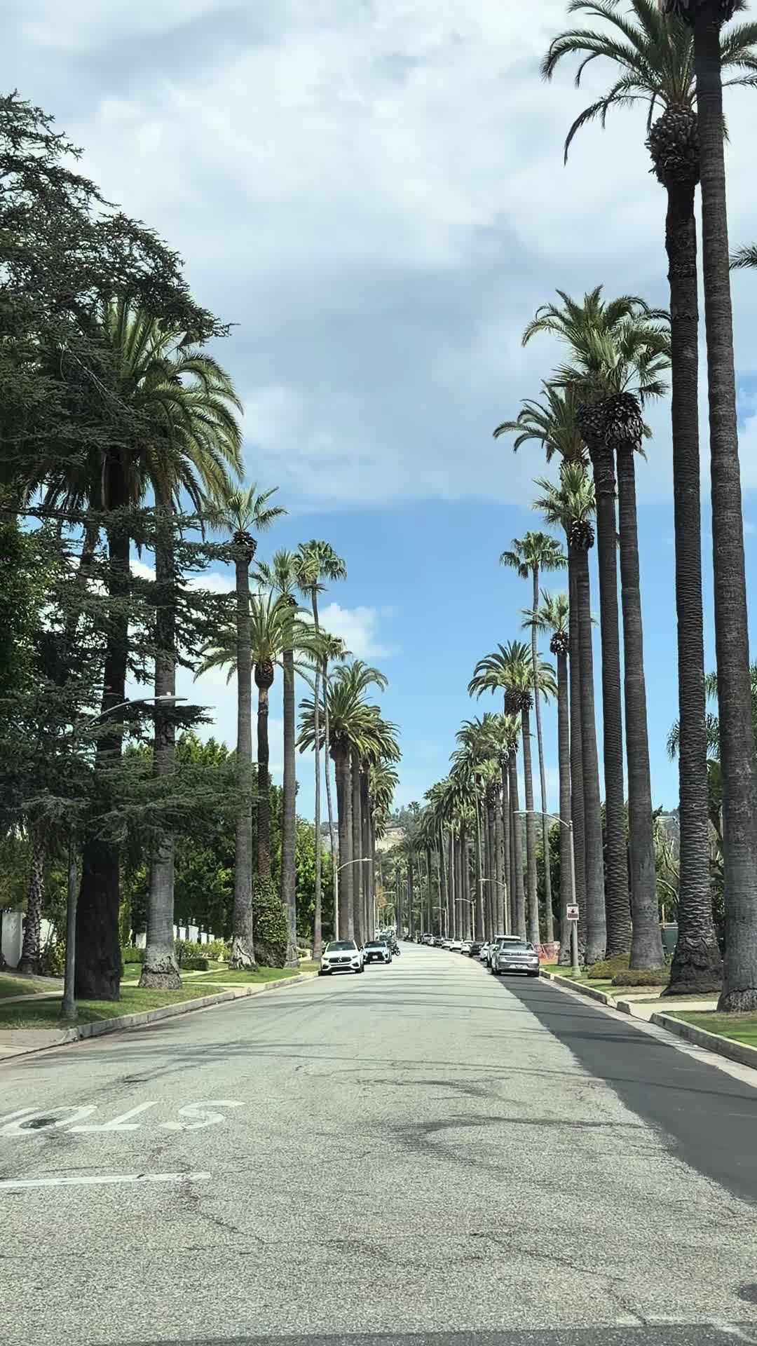 @@onlyin.la