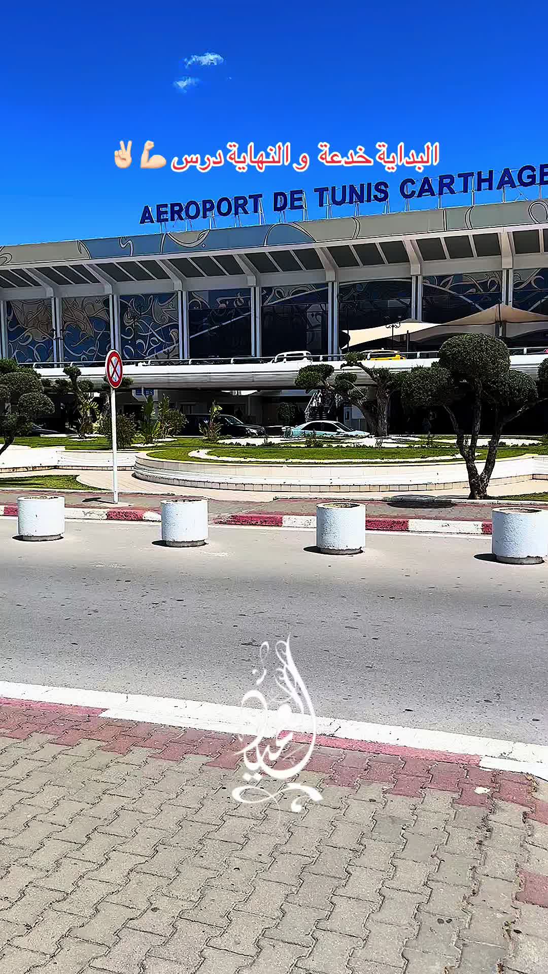 @⚜️⚔️العميد⚔️⚜️