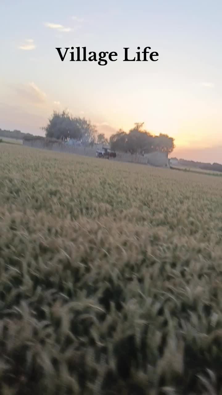 @مہر صدام