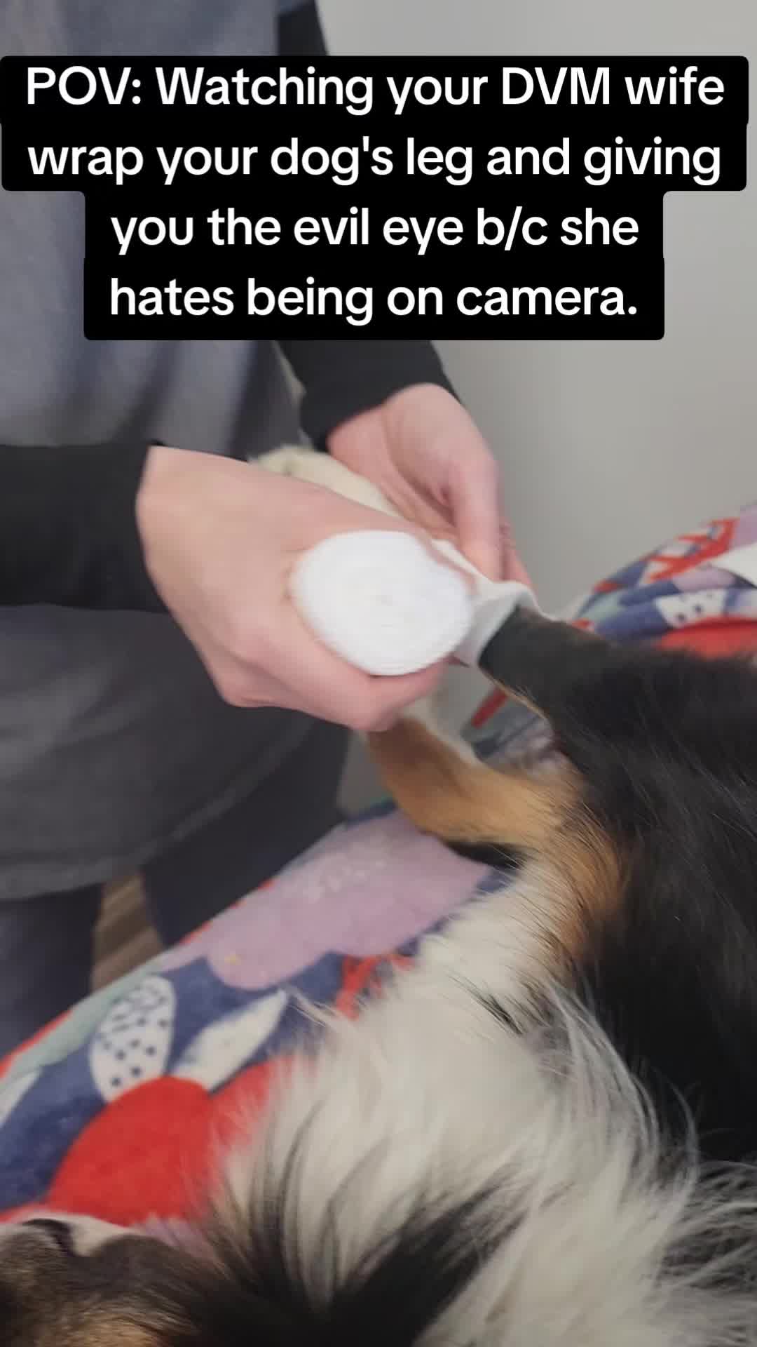 @familypethealth