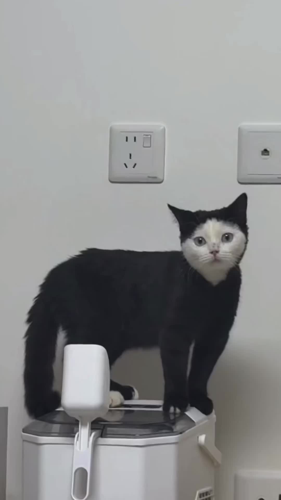 @My Daily Dose of Aww