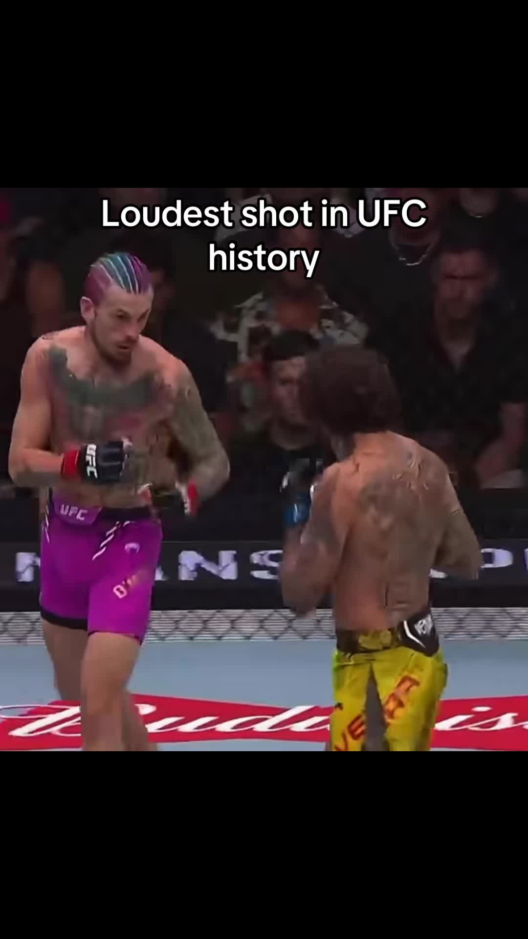 @ufcclipperman