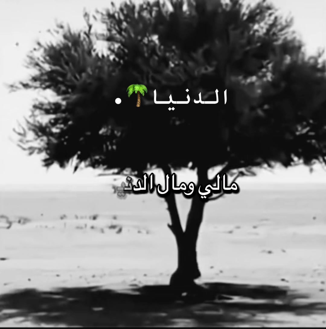 @فيصل الحربي📸📲.