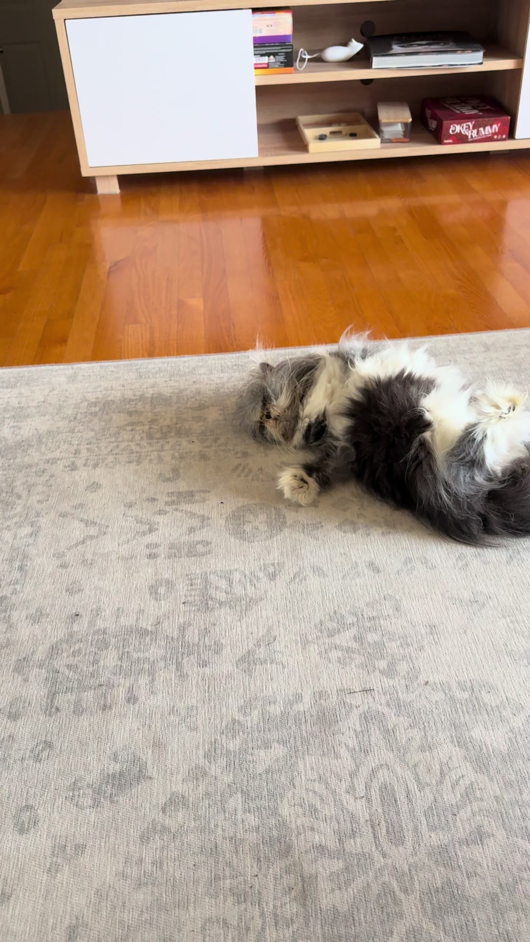 @atchoumthecat