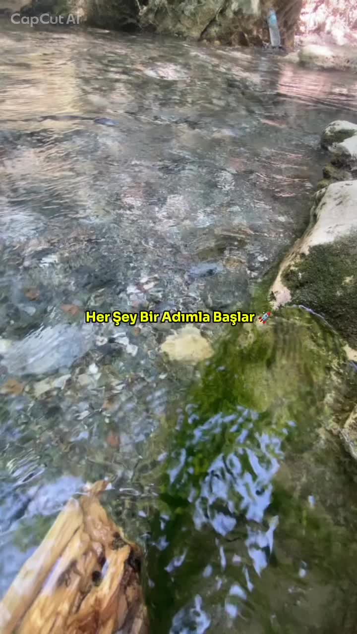@mustafa.ksgl_