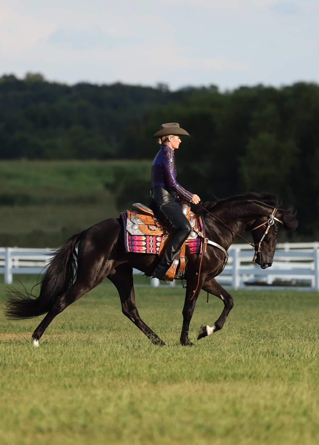 @Miranda | Equine Photographer