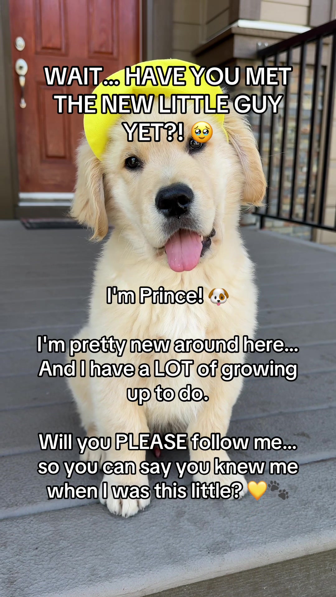 @A Golden and Fam