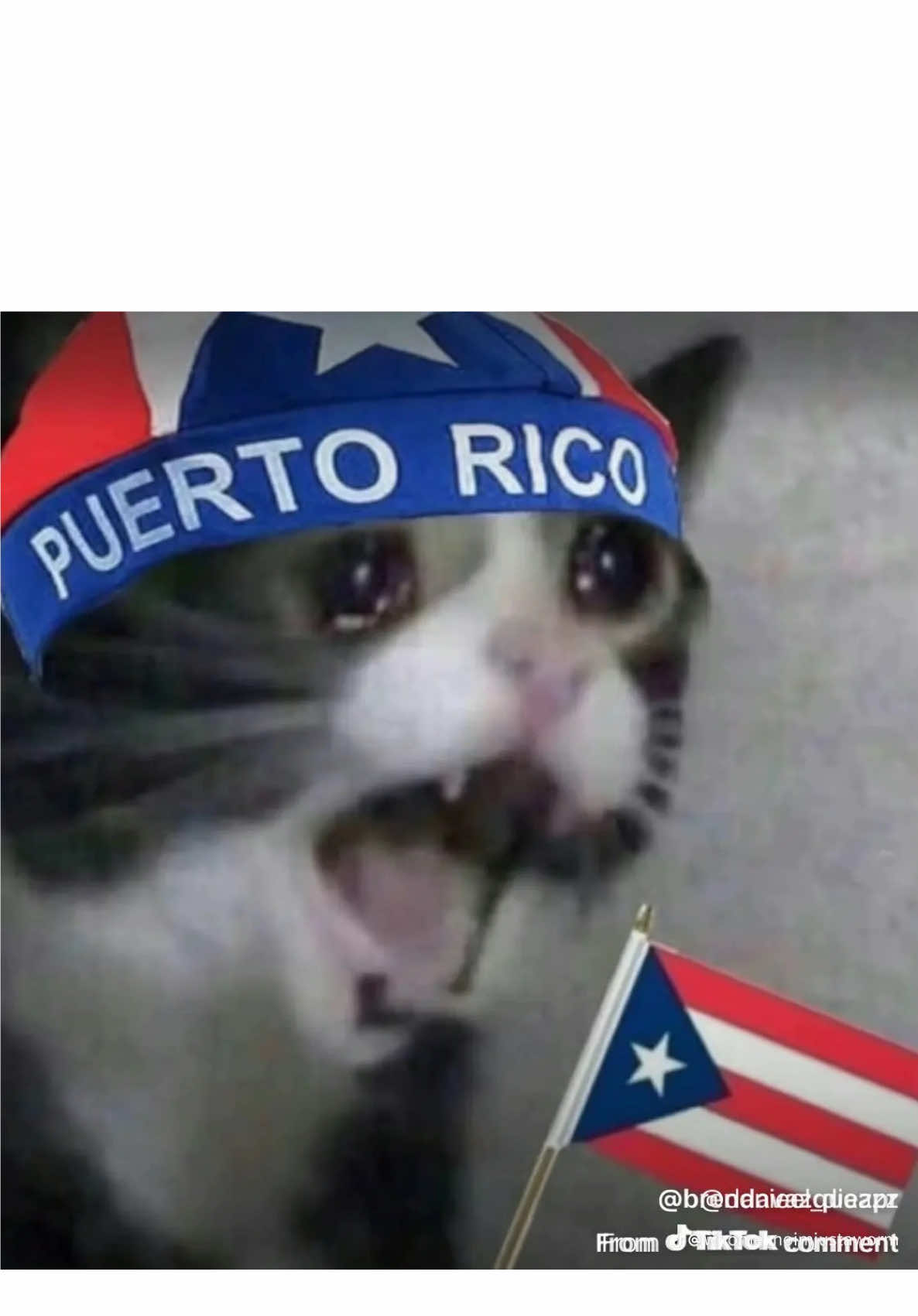 @BNTH_Lisa 🇵🇷