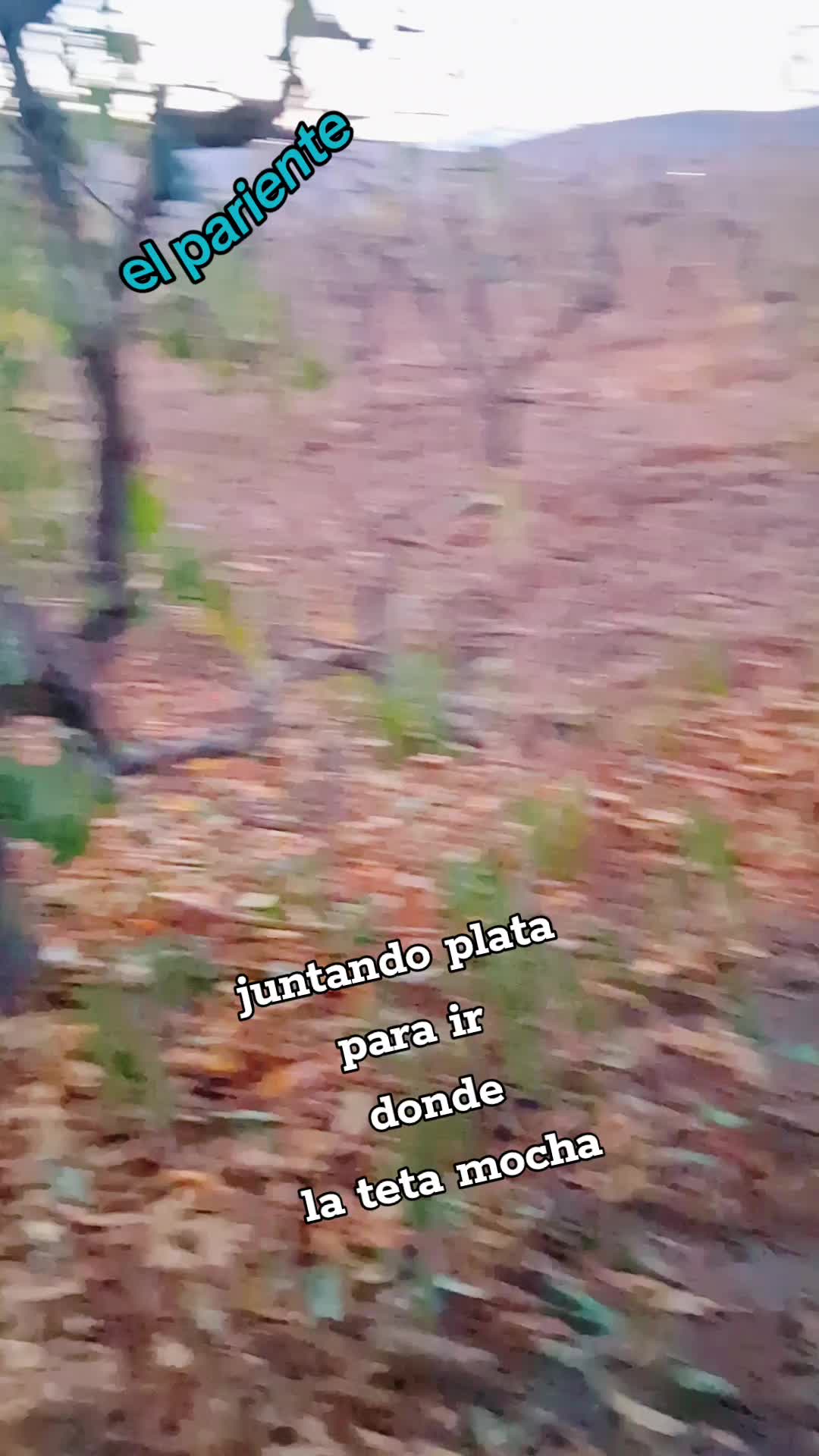 @leiva