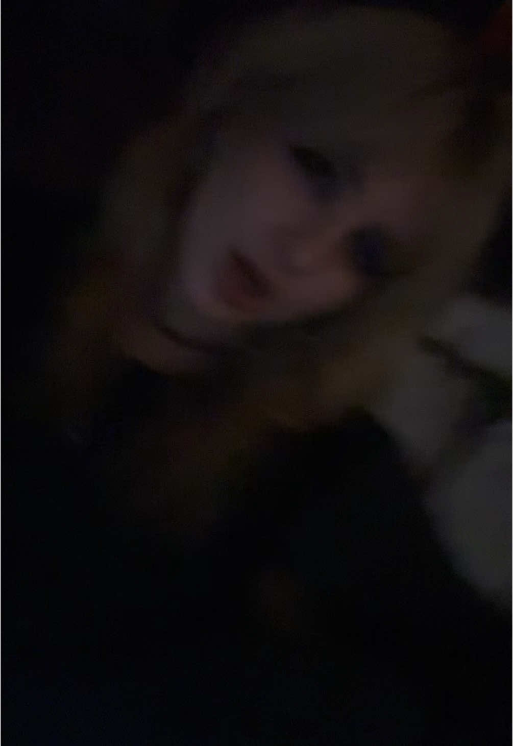 @😼