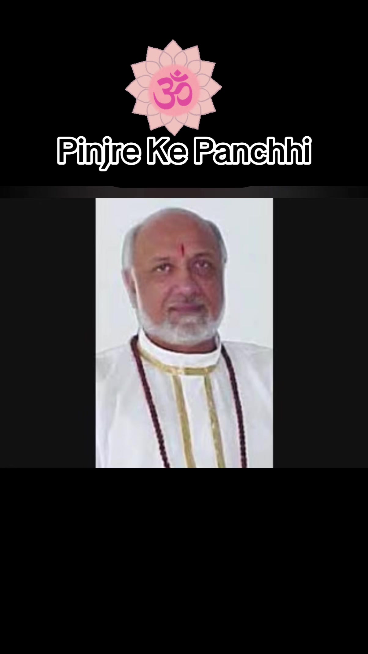 @Pandađď¸