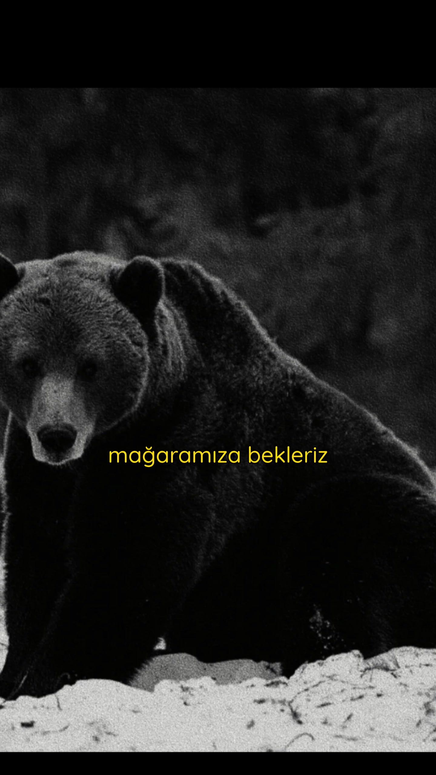 @dzcy36