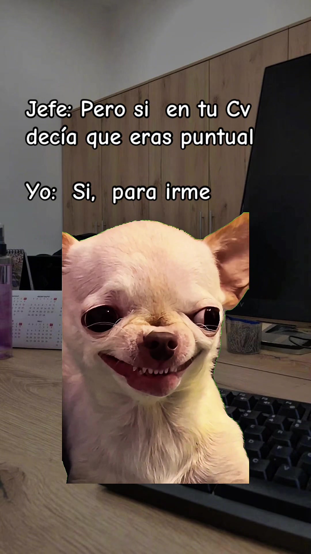 @Gisela🖤