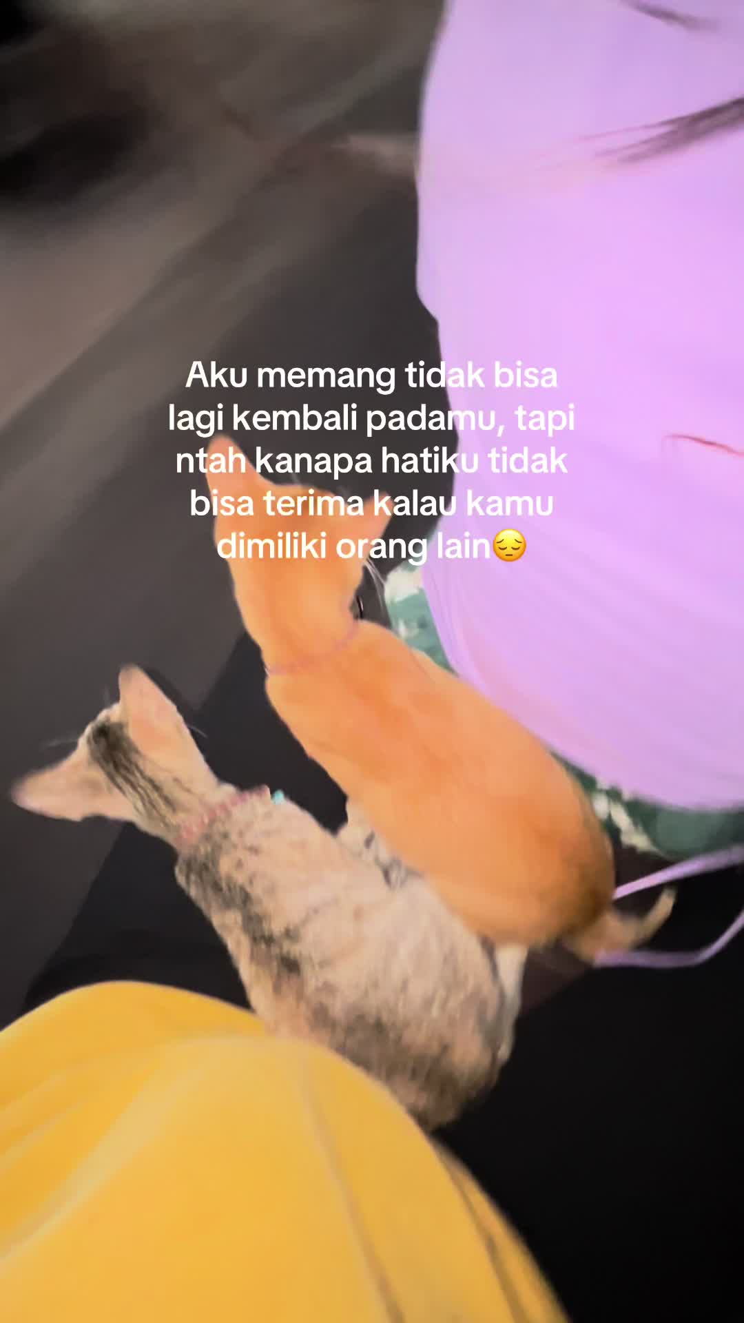 @✨