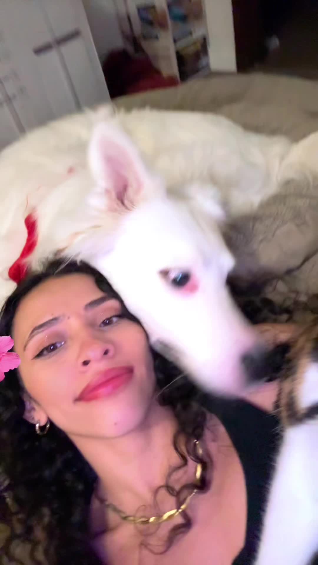 @threemichis