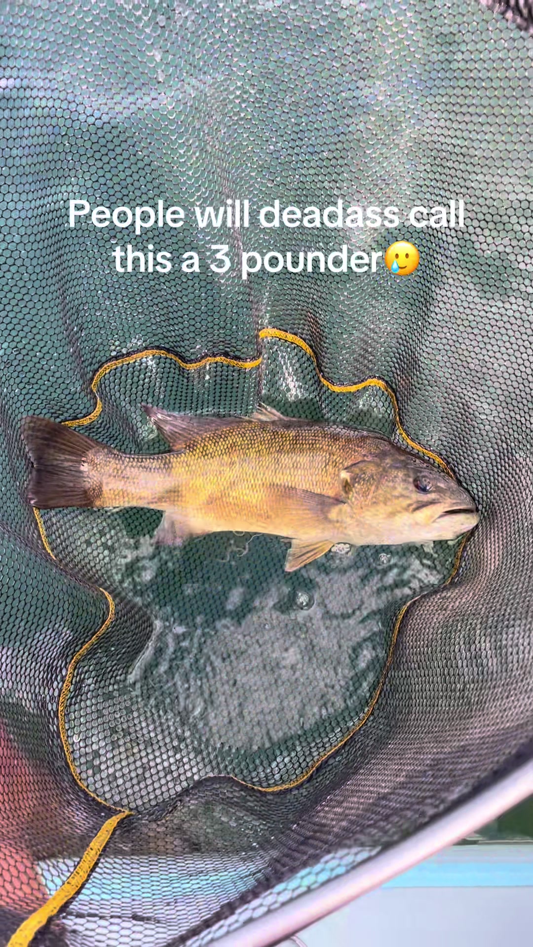 @sams.fishing_