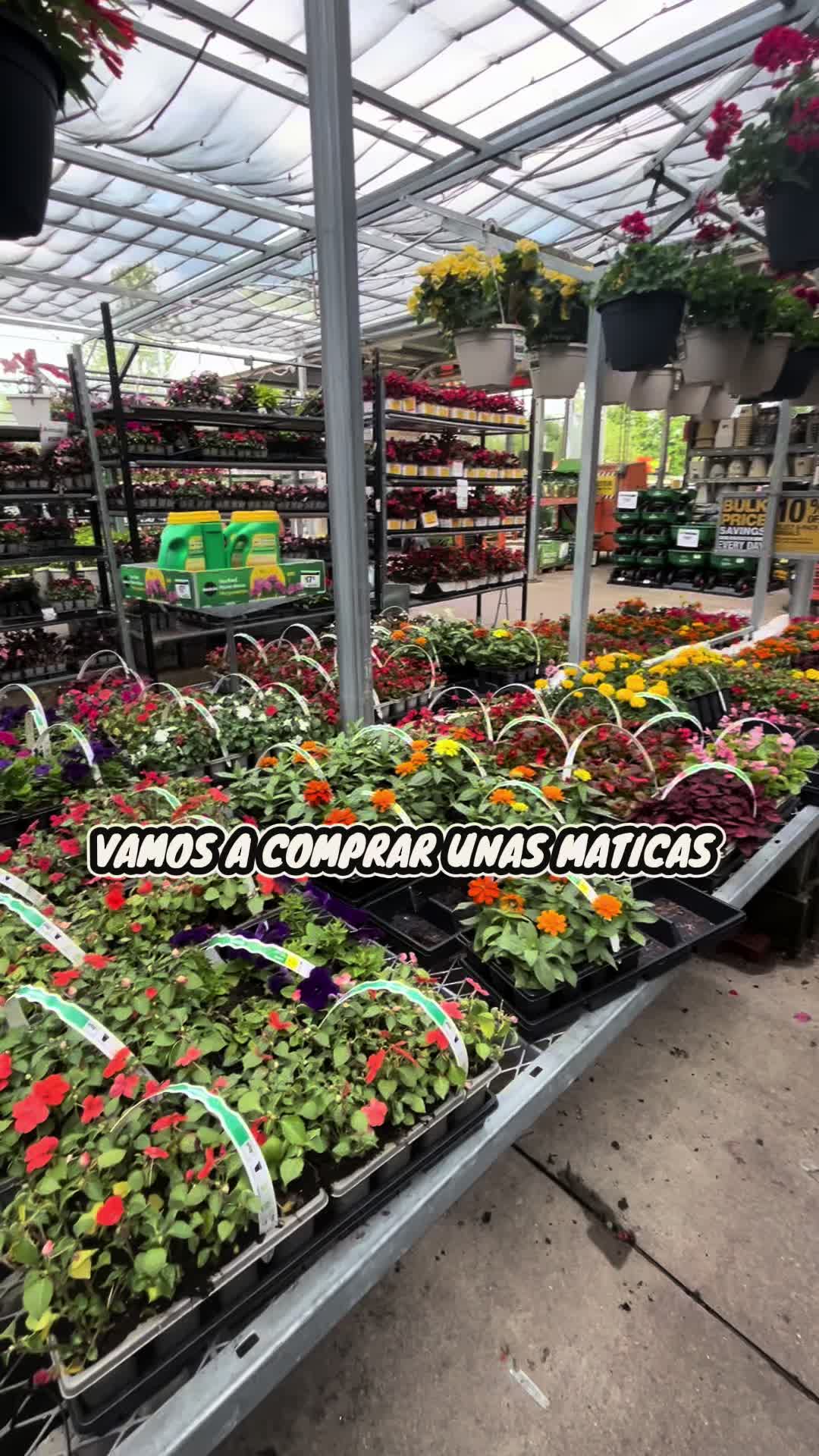 @🦅LA MERA🪽