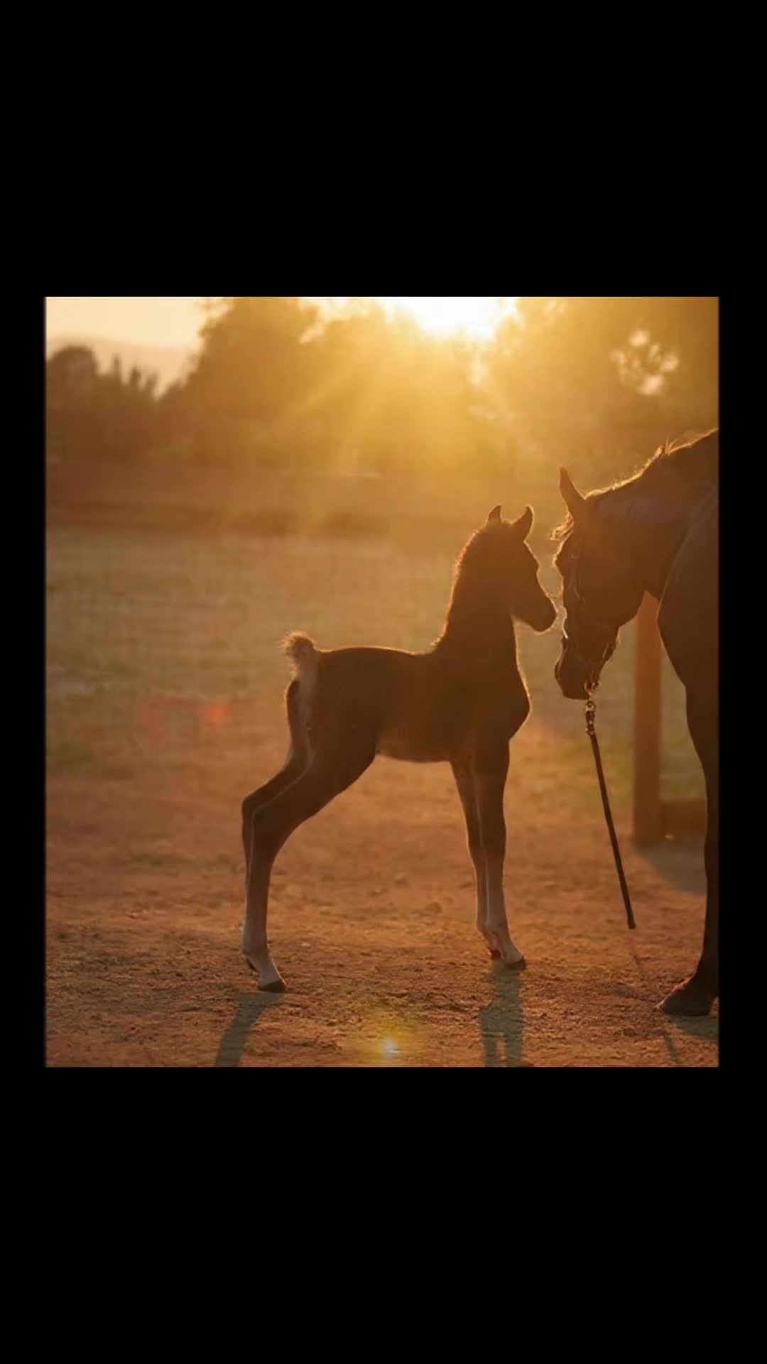 @BoeRanch14