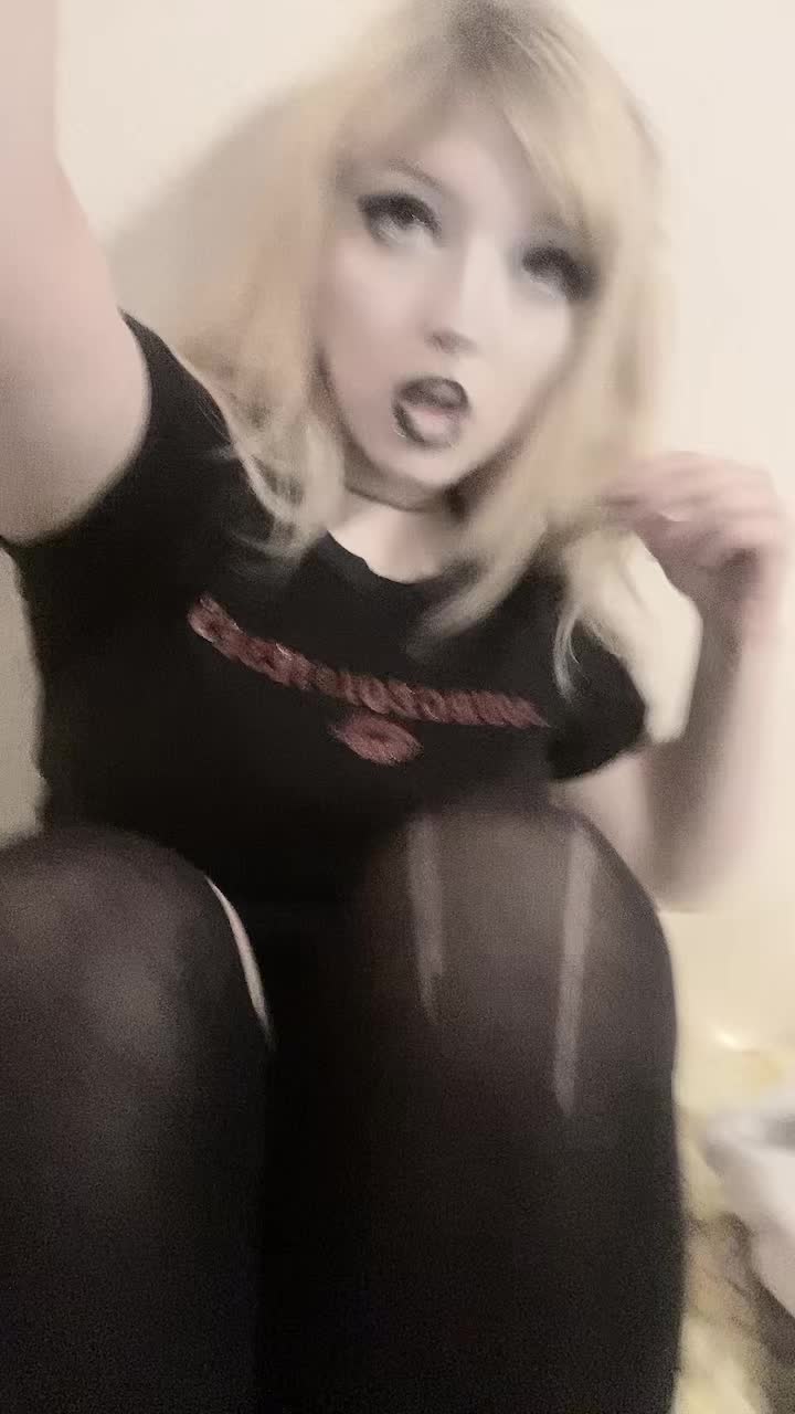 @🐾